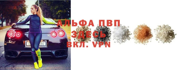 ГАЛЛЮЦИНОГЕННЫЕ ГРИБЫ Верея