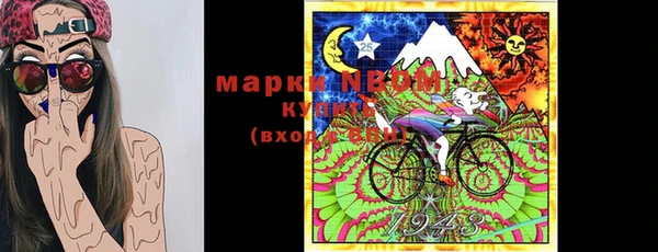 ГАЛЛЮЦИНОГЕННЫЕ ГРИБЫ Верея