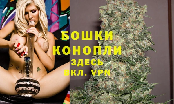 ГАЛЛЮЦИНОГЕННЫЕ ГРИБЫ Верея