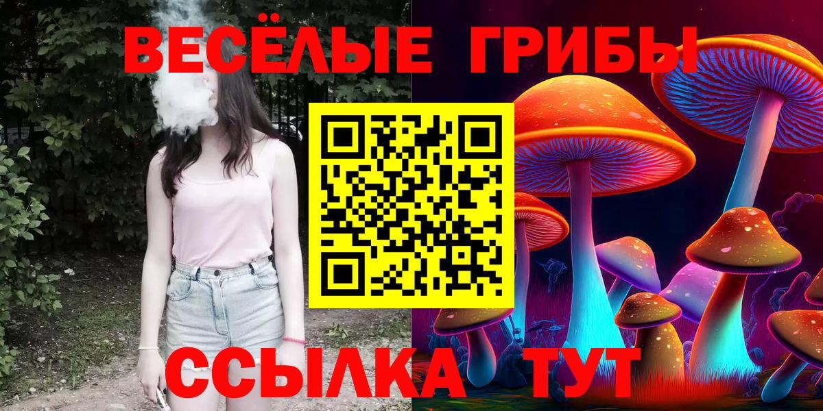 Галлюциногенные грибы Psilocybe Рузаевка