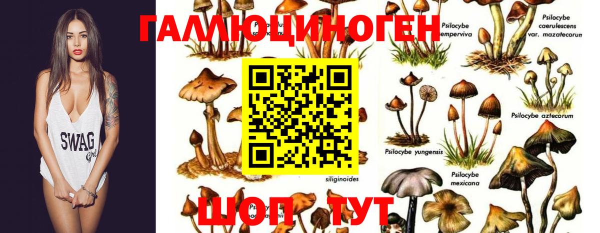 Галлюциногенные грибы мухоморы Рузаевка