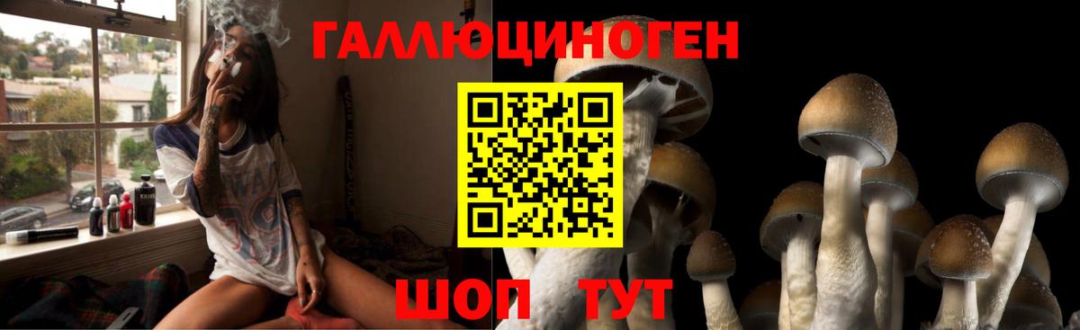 Галлюциногенные грибы Psilocybine cubensis  продажа наркотиков  Рузаевка  Вход с VPN 